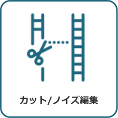 カット/ノイズ編集